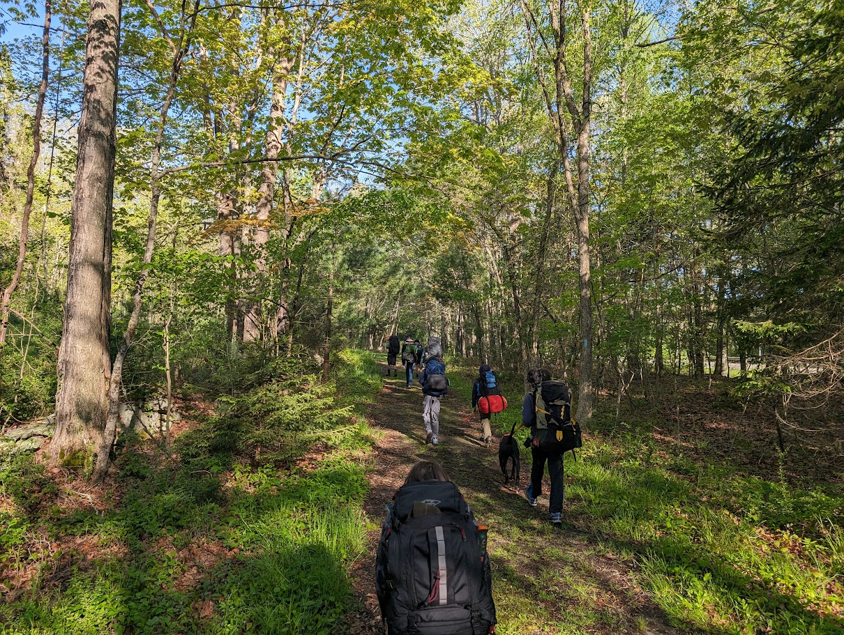 Scouts hiking through the woods at Deer Lake.